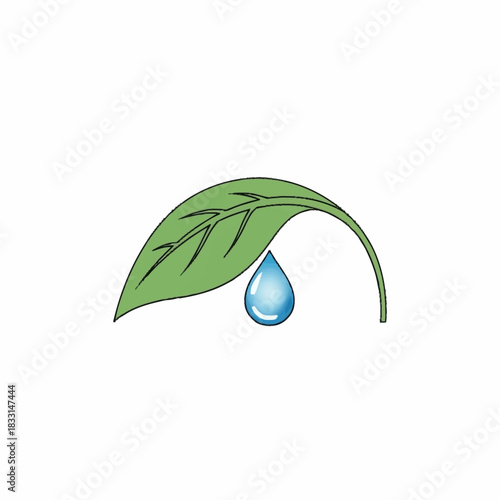 Green Leaf with Water Drop Symbolizing Nature and Freshness.
