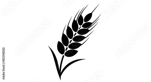 Black and White Wheat Stalk Illustration for Agriculture.