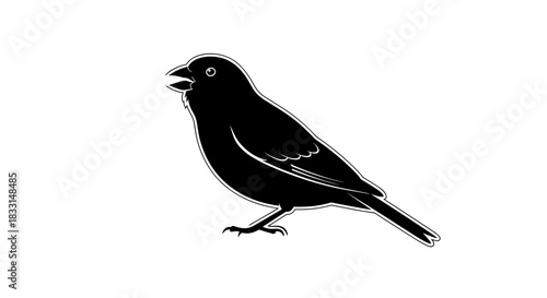 Silhouette of a Blackbird Singing with Open Beak.