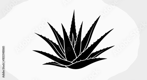 Aloe Vera Plant Silhouette Natural Beauty and Healing Properties.