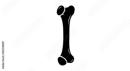 Black and White Femur Bone Illustration for Medical Use.