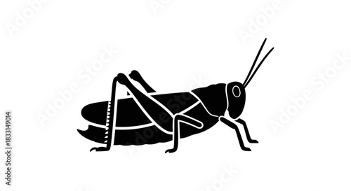 Detailed Silhouette of a Grasshopper on White Background.
