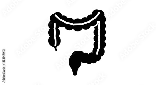 Human Colon Illustration Anatomy and Digestive System Health.