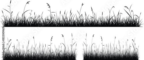 Stunning vector silhouette of wild grasses and reeds, perfect for nature designs, creating serene landscapes, or adding organic elements to any project