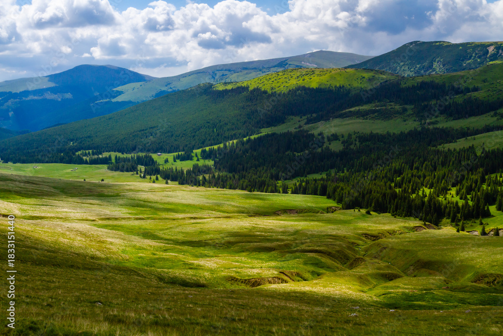 Obraz premium The beautiful landscape of the Fagaras Mountains near Lake Vidraru. Picturesque slopes covered with grass and coniferous forest. Southern Carpathians, Romania