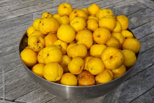 Japanese Quince fruits in bowl