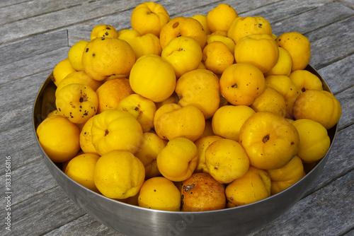 Ripe Japanese Quince fruits