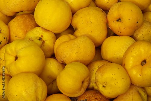 Ripe Japanese Quince fruits