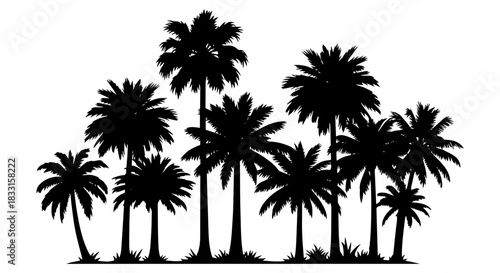 Palm tree silhouettes tropical vector illustration of a grove isolated on white background for summer designs