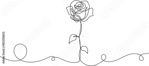 continuous line drawing of a rose, single flower line art vector illustration