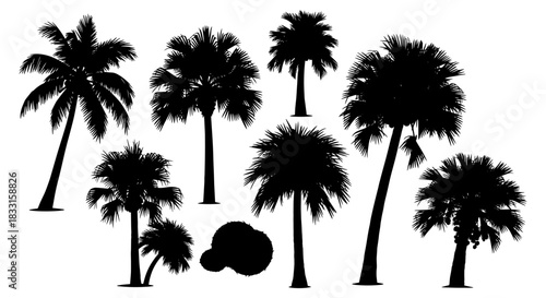 Set of palm tree silhouettes tropical vector illustration isolated on a white background for summer designs and vacation themes