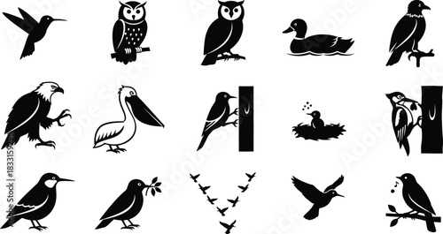 Silhouette collection of various bird species in vector format