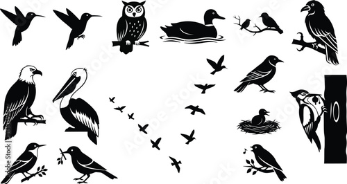 Collection of black and white bird silhouettes for design and illustration
