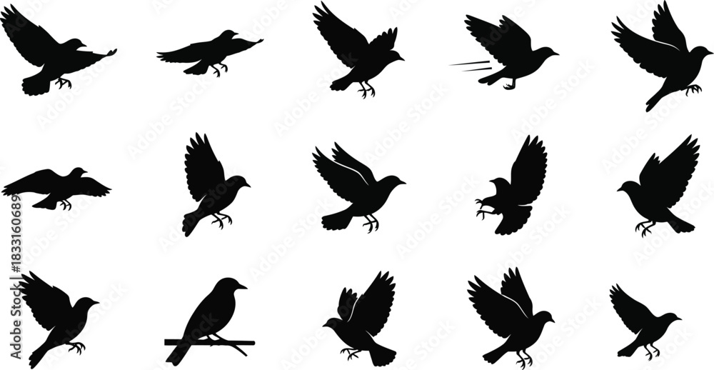 Fototapeta premium Collection of black bird silhouettes in various flying positions on white background