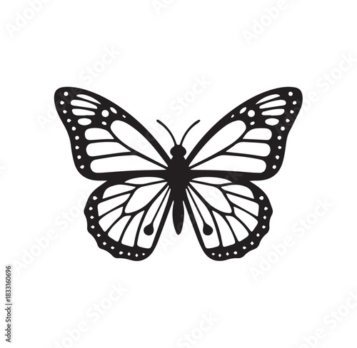 butterfly isolated on white