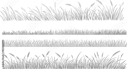 Grass border illustration, hand drawn grass blades, natural field vegetation, botanical line art design, decorative grass elements for landscape artwork