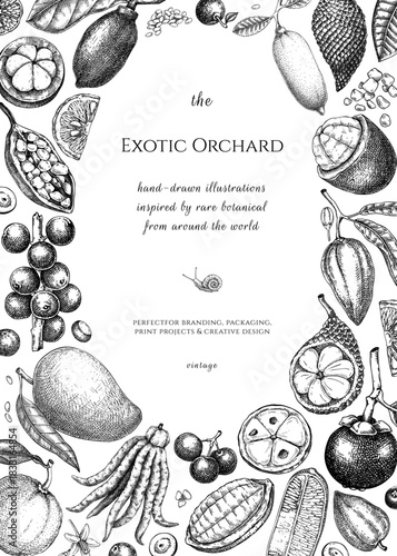 Exotic fruit background. Tropical plants hand drawn vector illustration. Healthy food frame, card, invitation design template. NOT AI generated