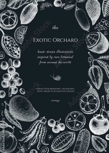 Exotic fruit background. Tropical plants hand drawn vector illustration. Healthy food frame, card, invitation design template. NOT AI generated