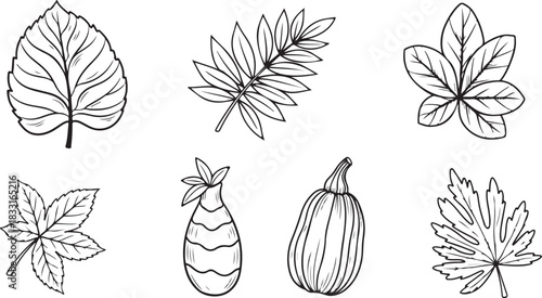 set of black and white flowers