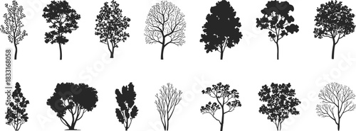 Tree silhouette collection, detailed black tree vector set, natural woodland elements, botanical foliage shapes, diverse tree designs for landscape artwork