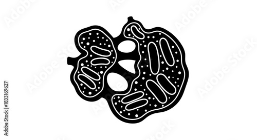 Detailed Mitochondria Illustration for Scientific and Educational Purposes.