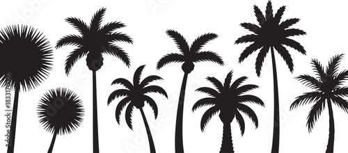 Silhouette of various palm trees against a light background