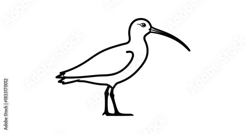 Elegant Curlew Illustration A Detailed Black and White Bird Drawing.