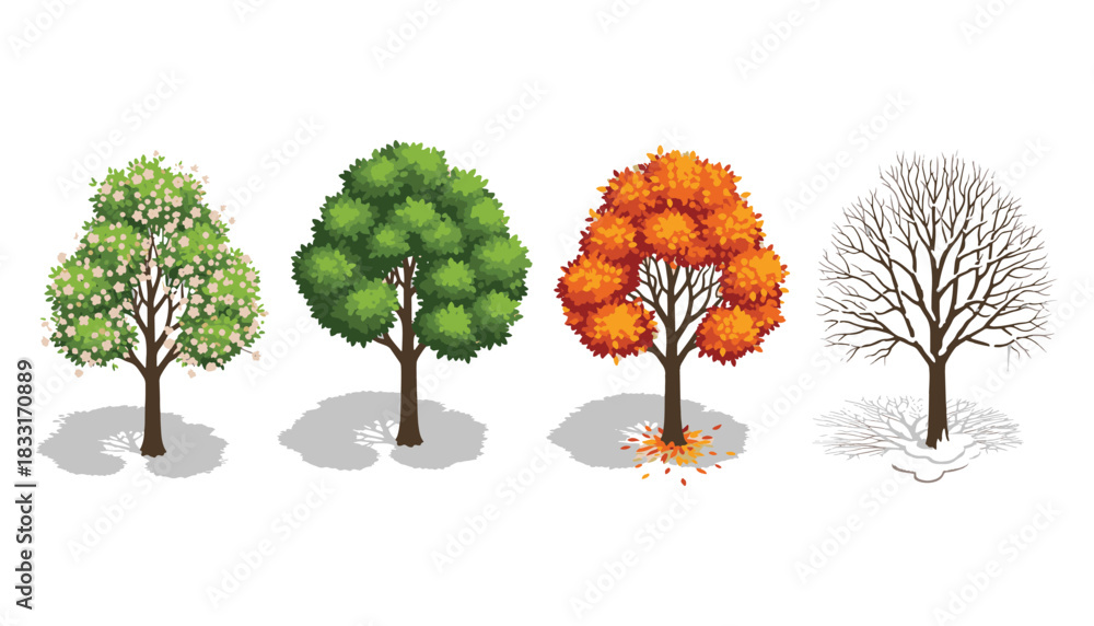 Fototapeta premium Isometric Seasonal Trees Vector Set — Spring to Winter Transformation for Nature and Landscape Illustration