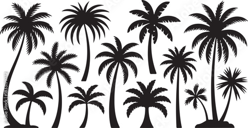 Collection of diverse silhouette palm trees on a white background