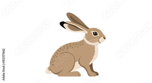 Elegant portrayal of a european hare, with a clean background and detailed features in a modern