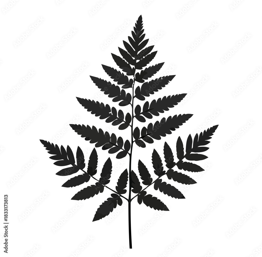 Naklejka premium A solitary dark gray fern frond is depicted against a stark black background showcasing its intricate feathery leaf structure in a minimalist design