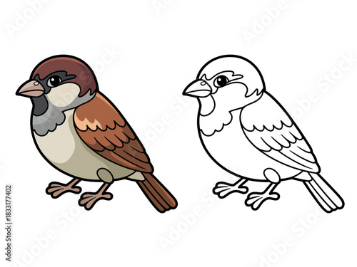A colored sparrow illustration stands next to its black and white outline for coloring.