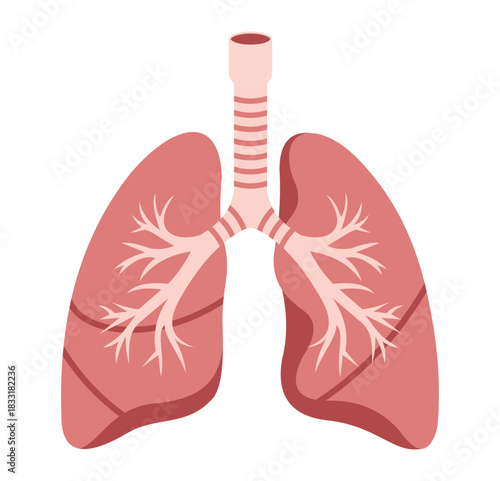 Human Lungs Icons Set – Respiratory System, Pulmonary Health and Anatomy Symbols Vector Illustration