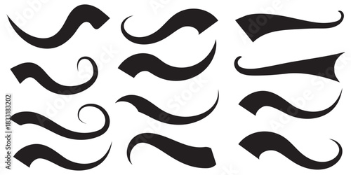 Vector swash swoosh flourish design elements. Curly swish tails and sporty plume swirl logo vector elements for retro banners