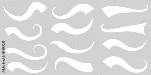 Vector swash swoosh flourish design elements. Curly swish tails and sporty plume swirl logo vector elements for retro banners