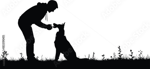 Silhouette person training dog outdoors, pet obedience scene in nature, companionship moment, animal interaction illustration, grassy landscape