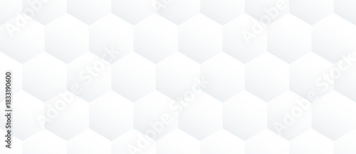 3D hexagon mesh pattern with a glossy surface and geometric grid structure. Vector illustration.