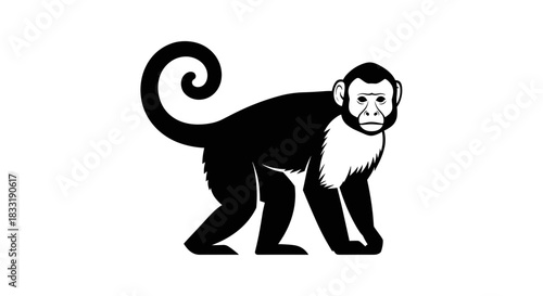 Black and White Monkey Illustration with Curly Tail.