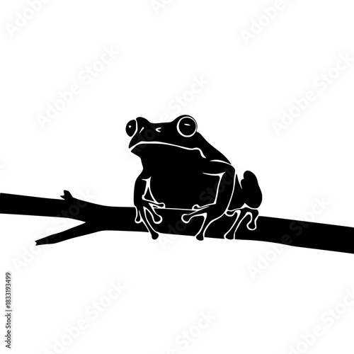 Striking silhouette of a frog perched on a branch, exuding natural charm and wildlife appeal