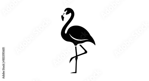 Elegant Flamingo Silhouette A Symbol of Grace and Beauty.