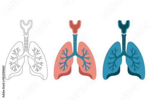 Three lung illustrations in outline red and blue on a white background art