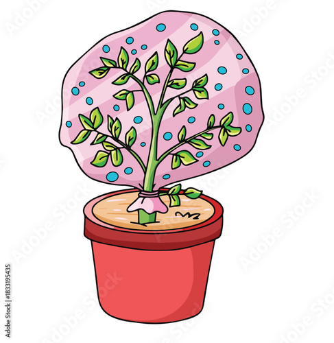 Science of hand drawn vector Transpiration Experiment clipart.