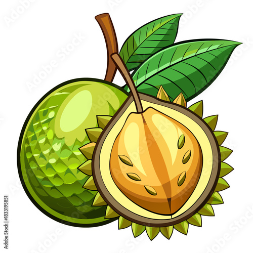  chempedak on white background