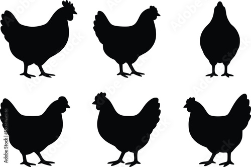 chicken silhouette vector illustration