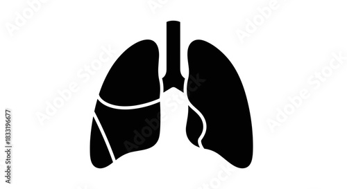 Human Lungs Anatomy Illustration A Detailed Medical Diagram 1.