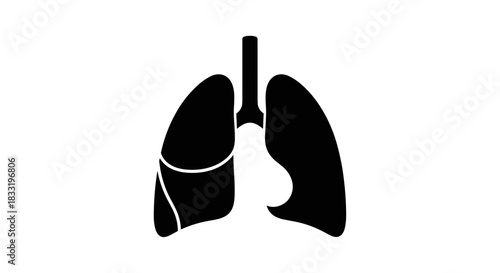 Lungs Silhouette A Detailed Anatomical Illustration for Medical Use.