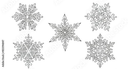 Diverse intricate snowflake illustrations isolated on a pure white background perfect for winter holiday design elements and educational resources