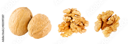 Walnuts isolated on transparent background. PNG format	
