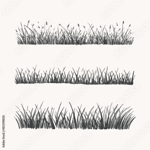 Set of hand drawn sketch grass borders with small buds vector illustration, monochrome botanical design elements