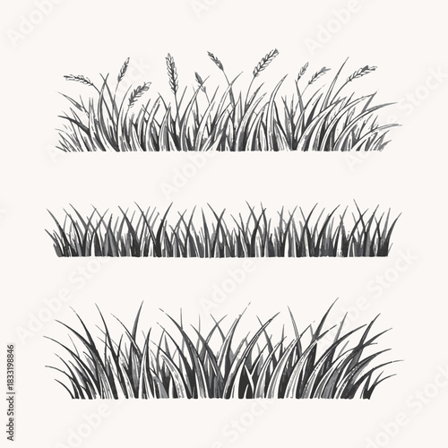 Set of hand drawn sketch grass borders with cereal plants vector illustration, monochrome botanical design elements